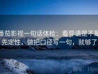 番茄影视一句话体检：看导语是不是先定性，做把口径写一句，就够了