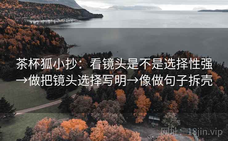 茶杯狐小抄：看镜头是不是选择性强→做把镜头选择写明→像做句子拆壳